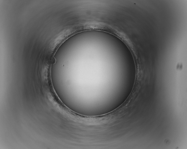 X0000111920010200907271300