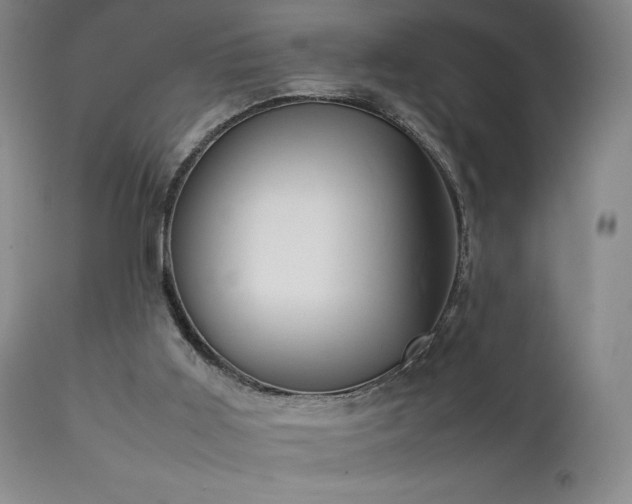 X0000111920011200907271300