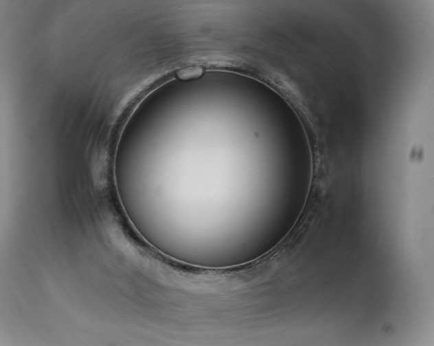 X0000111920012200907271300