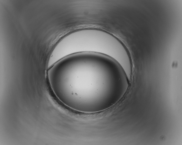 X0000111920013200907271300