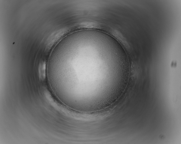 X0000111920014200907271300
