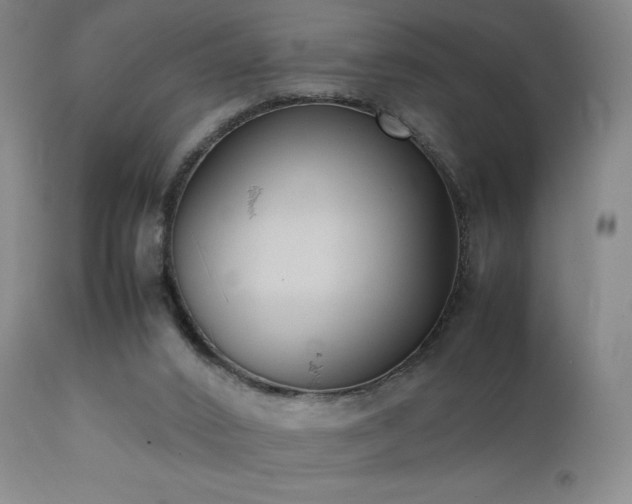 X0000111920016200907271300