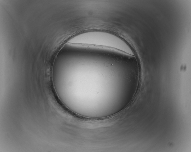 X0000111920017200907271300