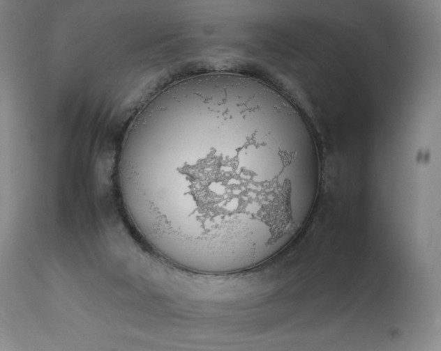 X0000111920018200907271300