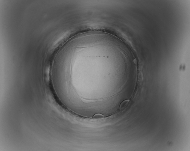 X0000111920019200907271300