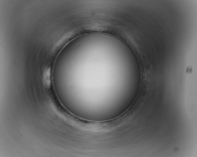 X0000111920020200907271300