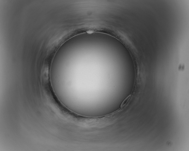 X0000111920021200907271300