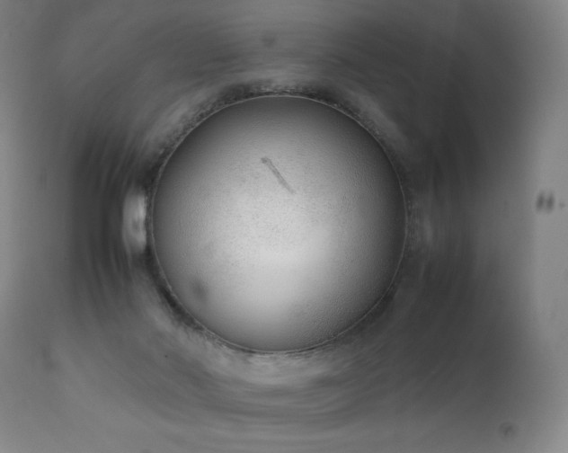 X0000111920022200907271300