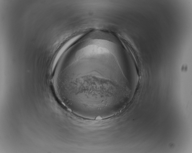 X0000111920023200907271300