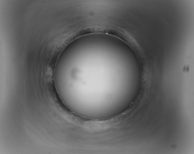 X0000111920025200907271300