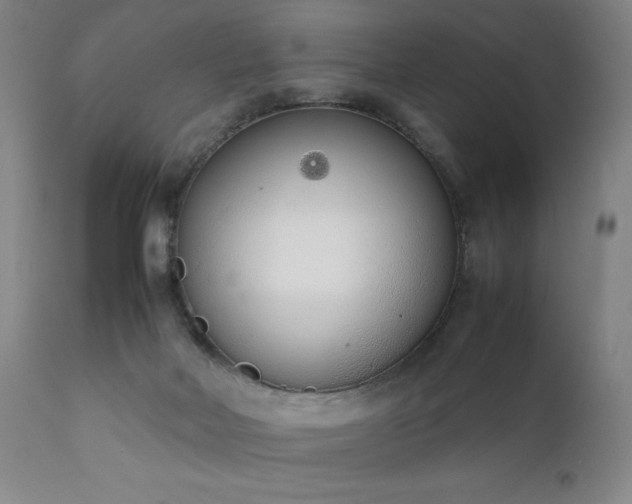 X0000111920026200907271300