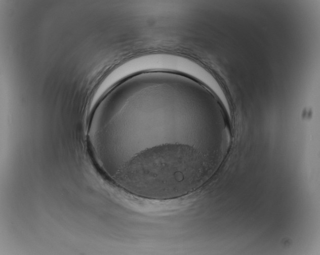 X0000111920027200907271300