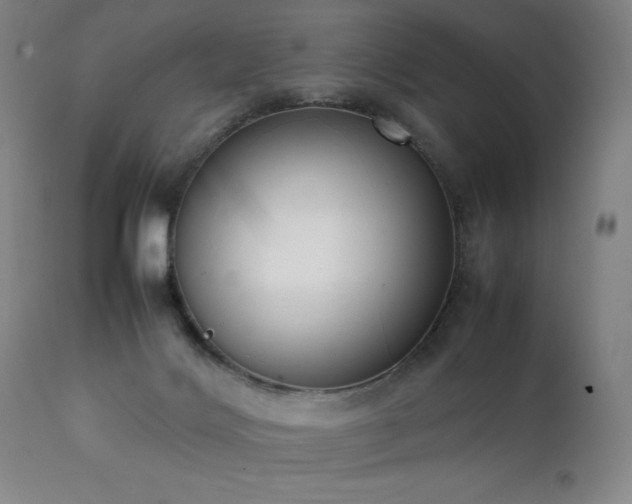 X0000111920028200907271300
