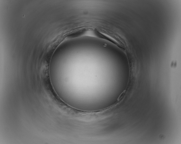 X0000111920029200907271300