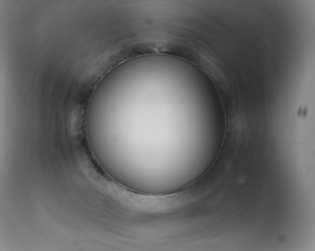 X0000111920030200907271300