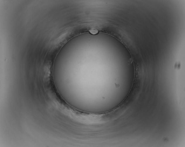 X0000111920032200907271300