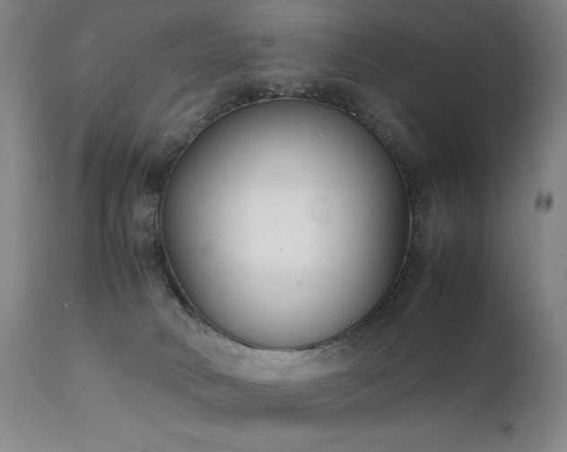 X0000111920034200907271300