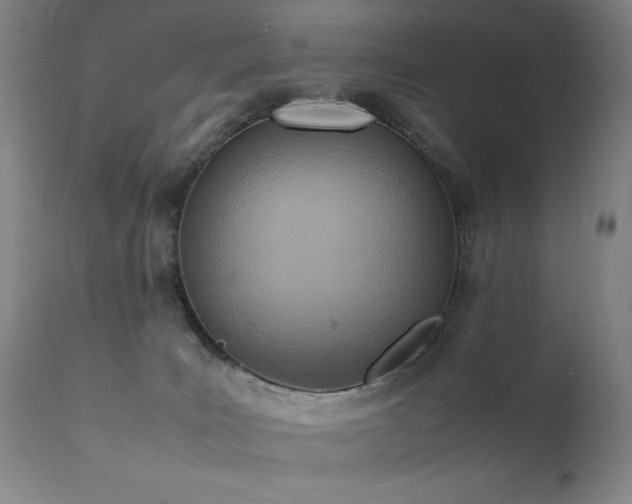 X0000111920035200907271300