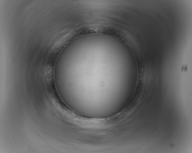 X0000111920036200907271300