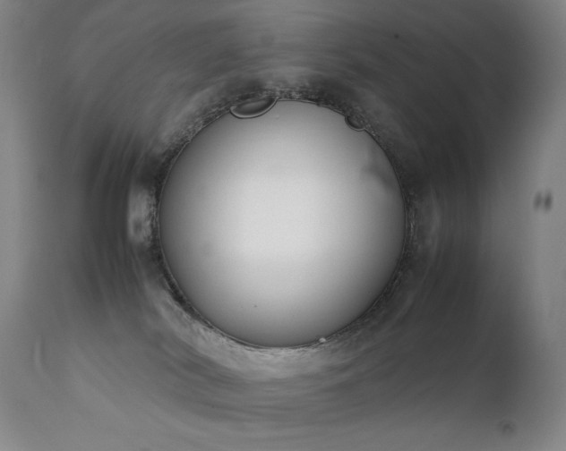 X0000111920038200907271300