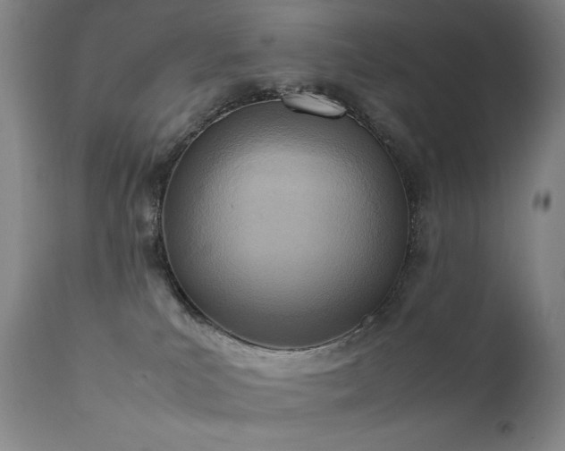 X0000111920039200907271300