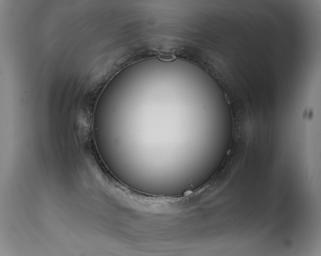 X0000111920040200907271300