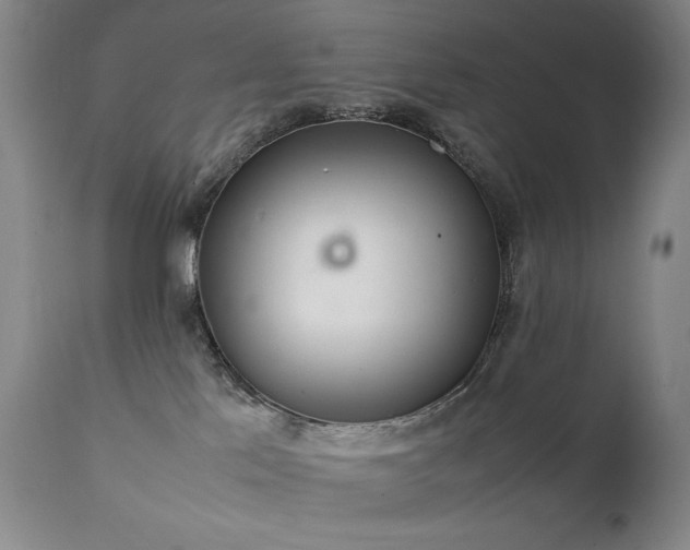 X0000111920041200907271300