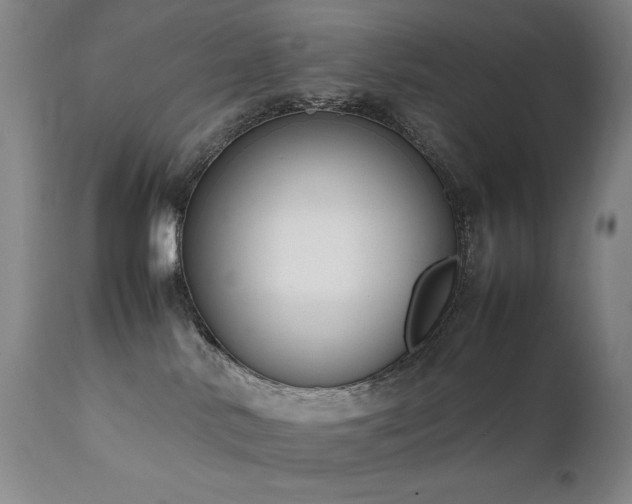 X0000111920042200907271300