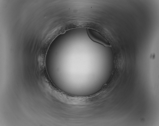 X0000111920044200907271300