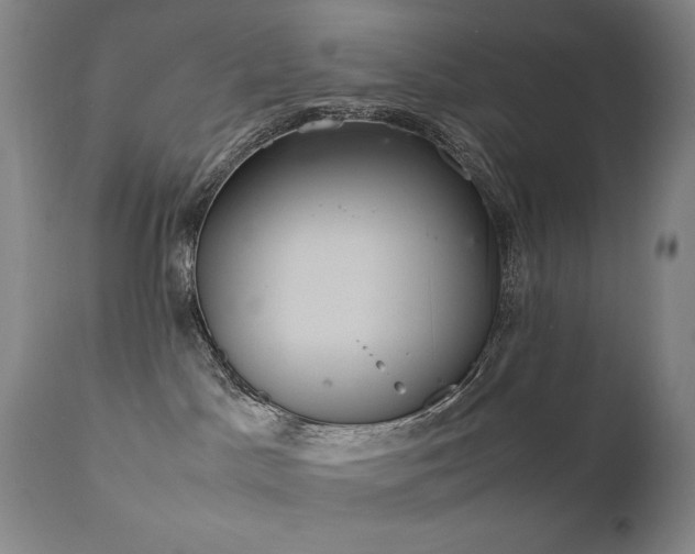 X0000111920045200907271300