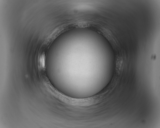 X0000111920046200907271300