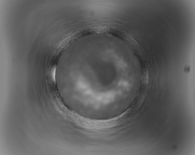 X0000111920047200907271300