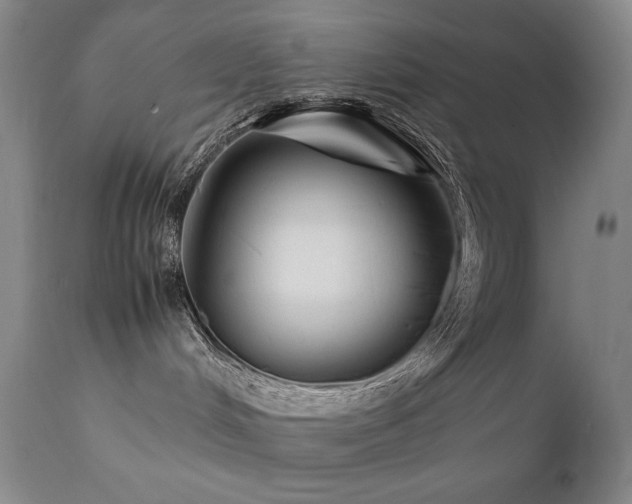 X0000111920048200907271300