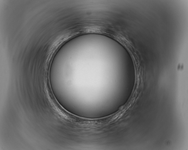 X0000111920049200907271259