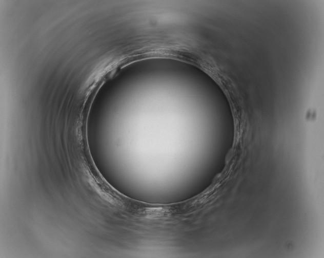 X0000111920050200907271259
