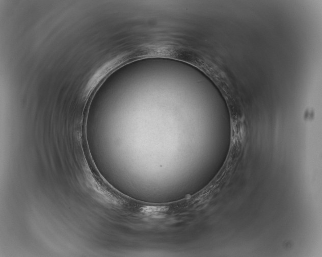X0000111920051200907271259