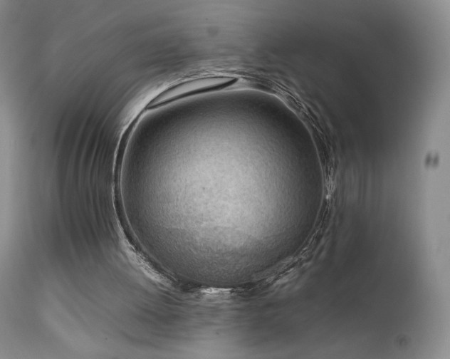 X0000111920052200907271259