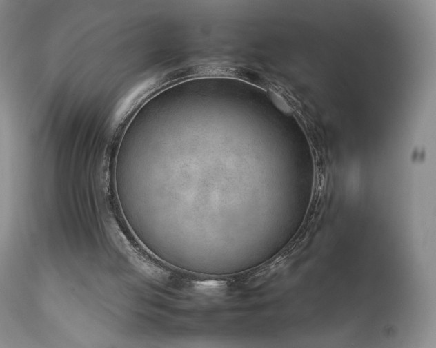 X0000111920053200907271259