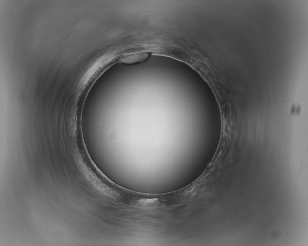 X0000111920054200907271259