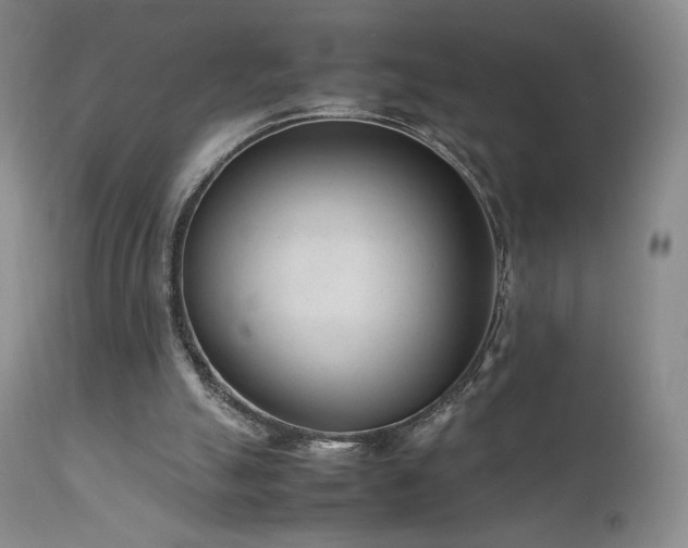 X0000111920055200907271259