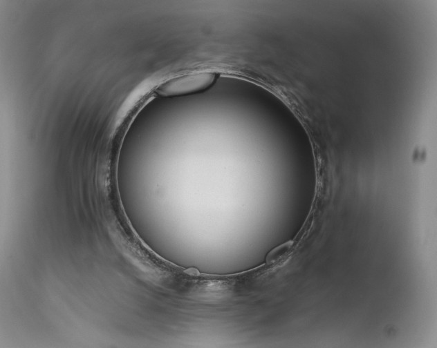 X0000111920056200907271259
