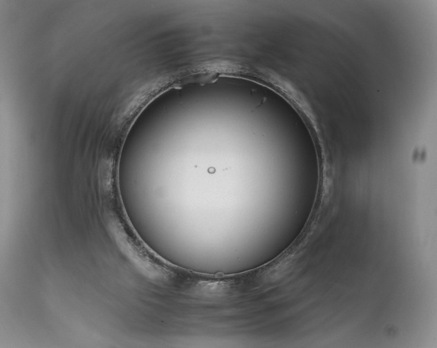 X0000111920057200907271259