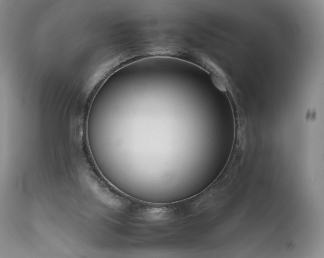 X0000111920059200907271259