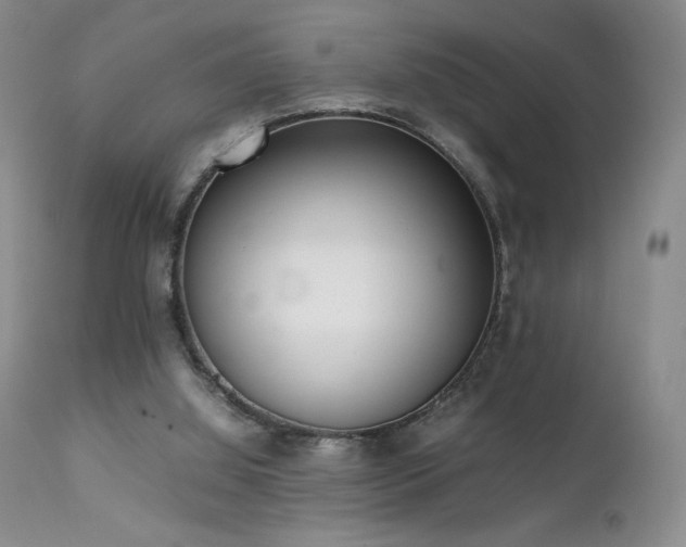 X0000111920060200907271259