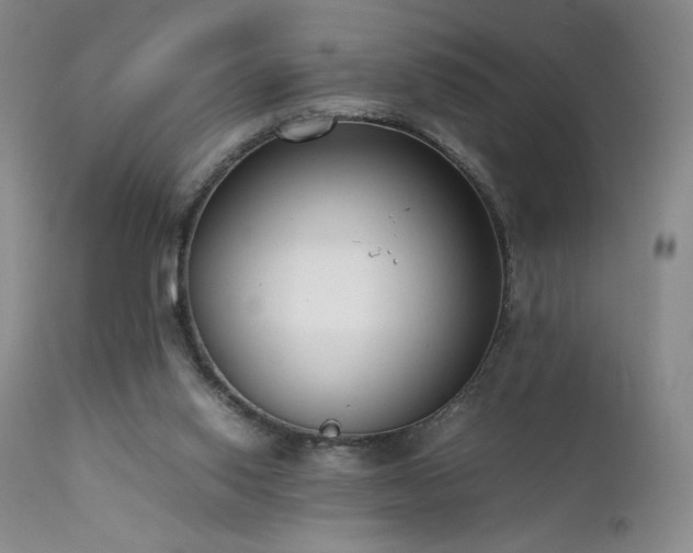 X0000111920062200907271259