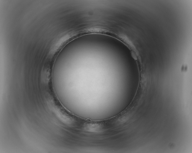 X0000111920063200907271259