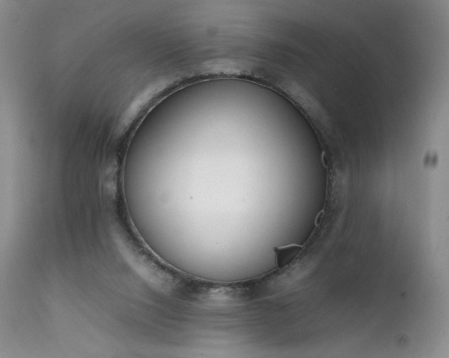 X0000111920064200907271259