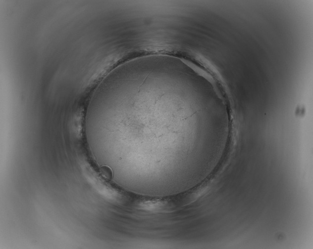 X0000111920065200907271259