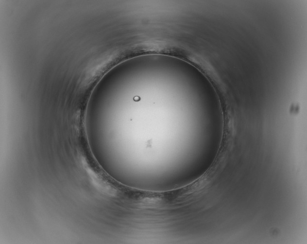 X0000111920066200907271259