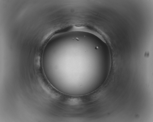 X0000111920067200907271259